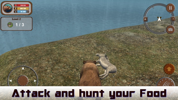 Wild Bear 3D Hunting Simulator