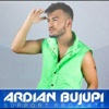 Ardian Bujupi Support Projekte