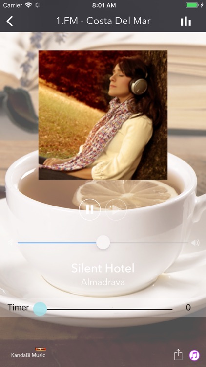 Easy Listening Music Radio screenshot-3