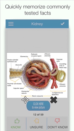 MCAT Biology Cram Cards