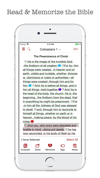 Bible Memory: Scripture Typer
