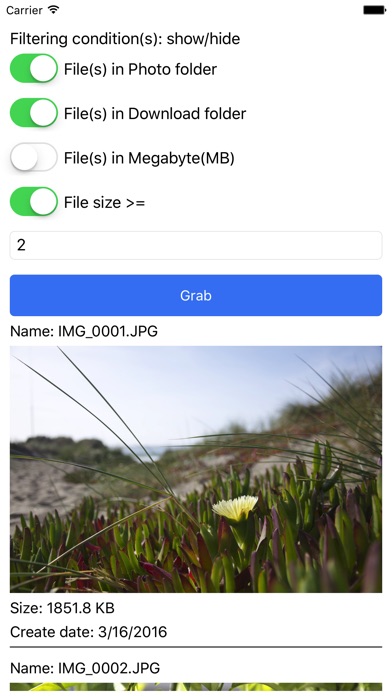 GrabFiles screenshot 4