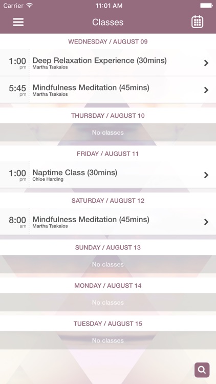The indigo project screenshot-3
