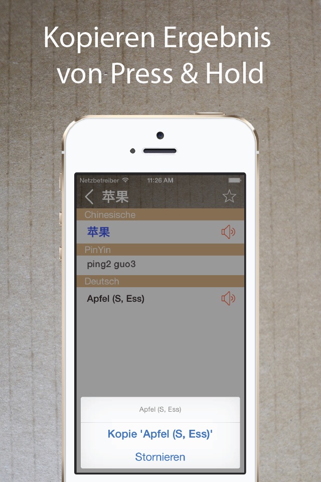 Chinese German Dictionary 中德字典 screenshot 3