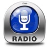 Urdu Radio DK