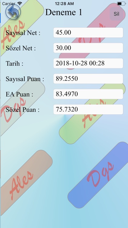 ALES DGS Puan Hesaplama screenshot-4