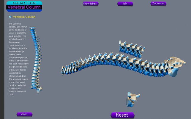 Vertebral Column(圖3)-速報App