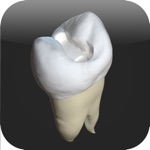 CavSim   Dental Cavity Preps
