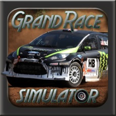 Activities of Grand Race Simulator 3D