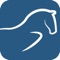 Optimize your equestrian training with ArionSensor