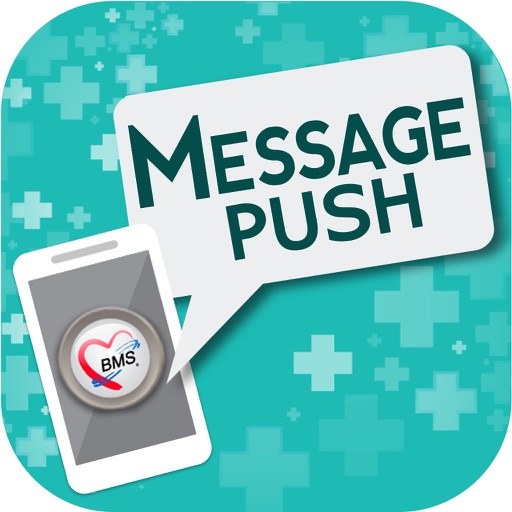 BMS Message Push icon