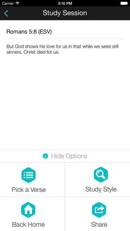 Bible Drill