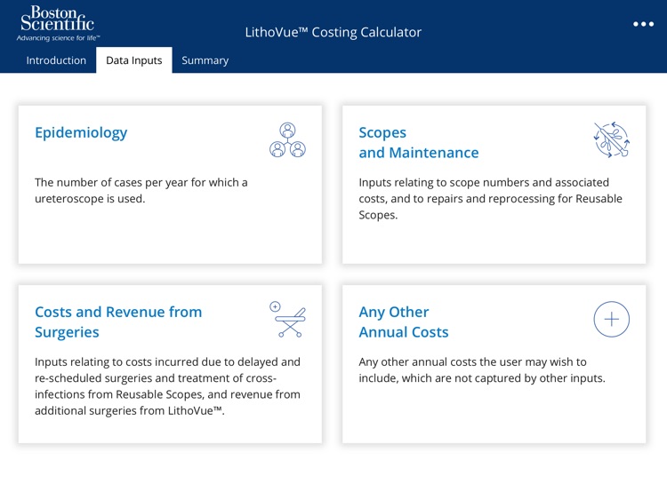 LithoVue™ Costing Calculator