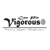 Car Pit Vigorous アプリ