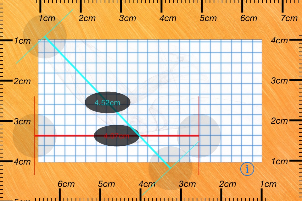 Ruler for iPad and iPhone screenshot 3