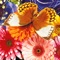 Butterfly Jigsaw is jigsaw game for iPhone and iPad