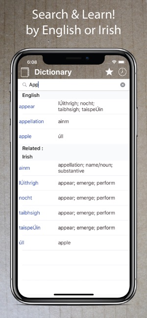 Irish English Dictionary +