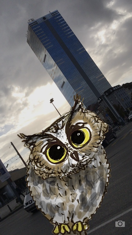 Rotate the Owl