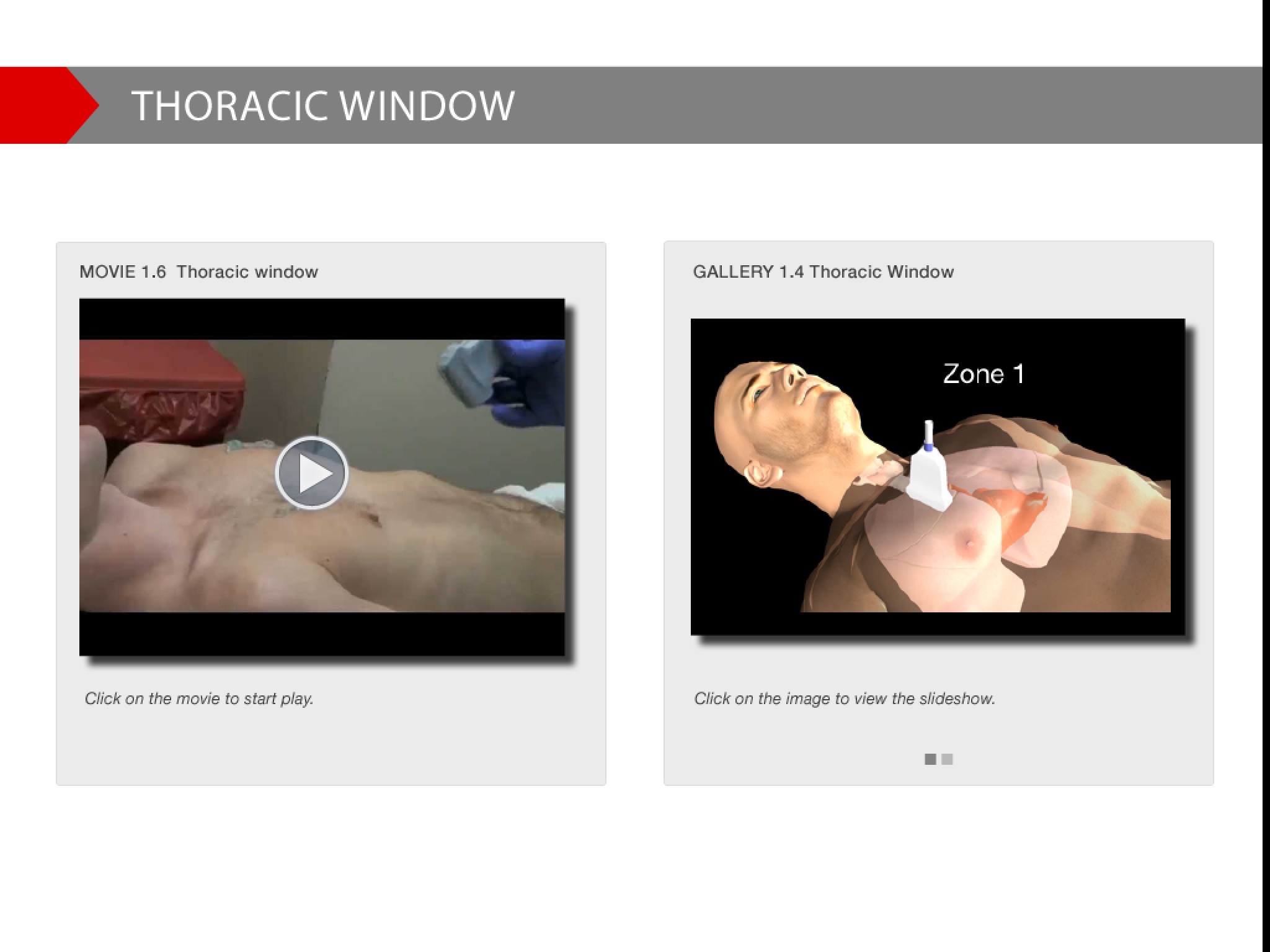 Trauma Ultrasound eBook screenshot 2