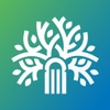 梧桐树下 - 投行法律智识分享平台