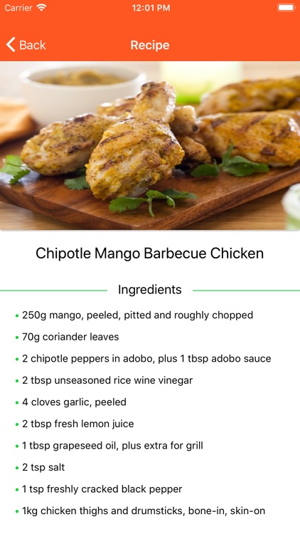 BBQ Barbecue Recipes screenshot-3