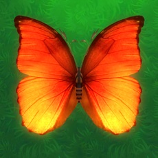 Activities of Pop Butterfly