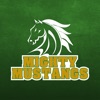 Mighty Mustangs