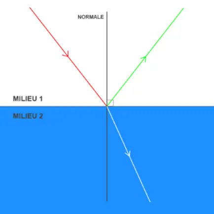 Réfraction et réflexion Читы