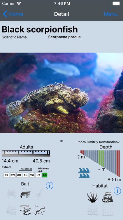 Fish Bait Lure Lite Quiz 2019 screenshot-3