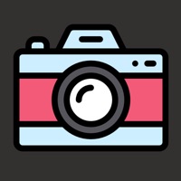 닮은꼴 콘테스트 PC 용