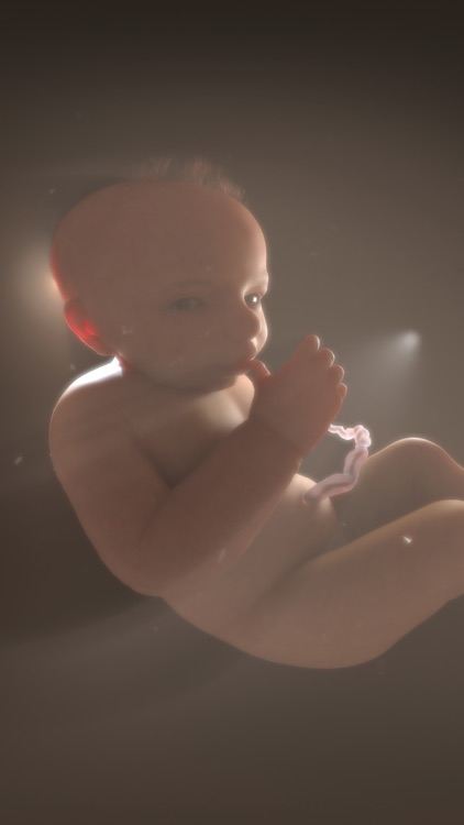 WITHIN - VR (Virtual Reality) screenshot-3