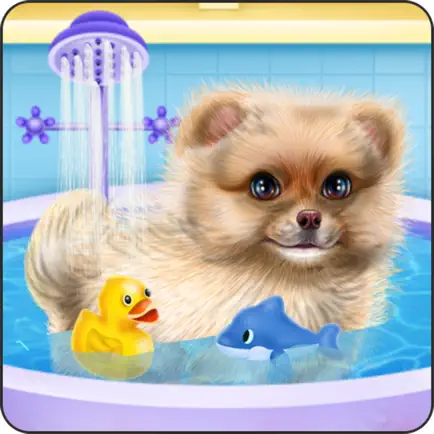 Pomeranian Puppy Day Care Читы