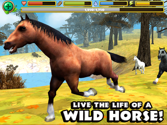 Wild Horse Simulator на iPad