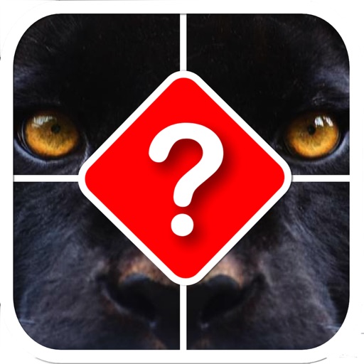 Name that Animal iOS App