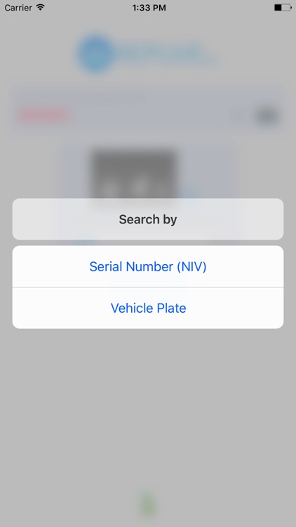 Repuve Pro - Check your Car