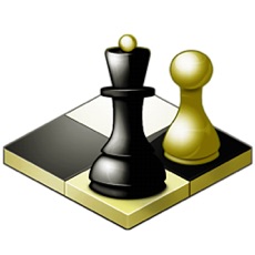 Activities of Chess Master - World of Chess