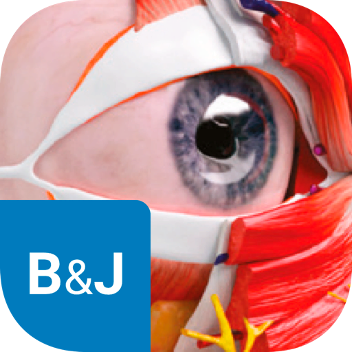 Beut & Jelks Oculoplasty