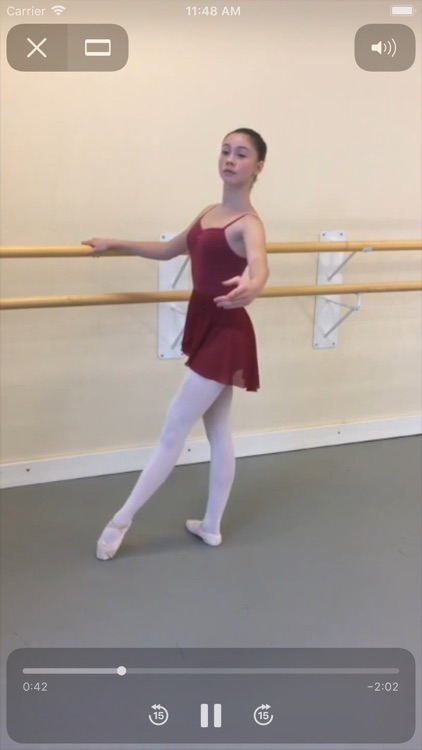 Ballet Video Lesson screenshot-3