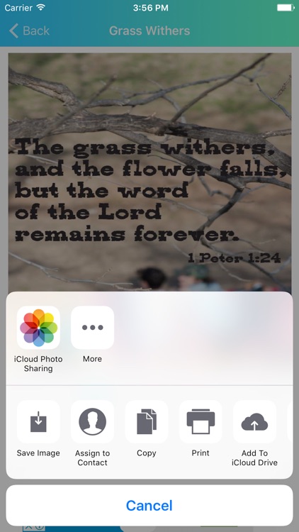 Photo-Verse screenshot-3