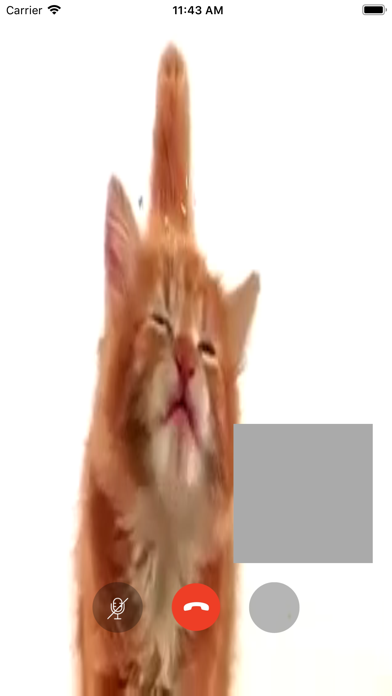 Video Call with Cat screenshot 2