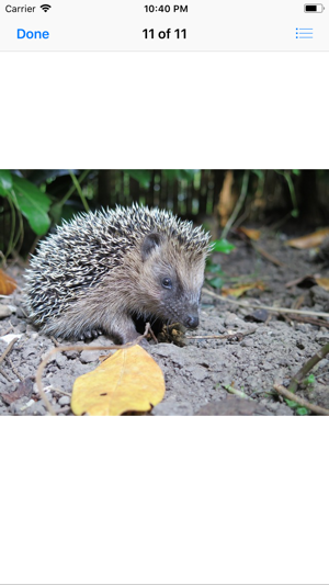 My Hedgehog Sticker Pack(圖8)-速報App