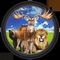 Chase for real animals in chasing safari