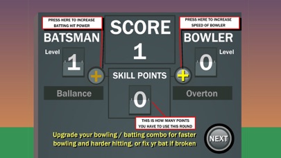 Ashes2Ashes:Zombie Cricket2017 screenshot 3