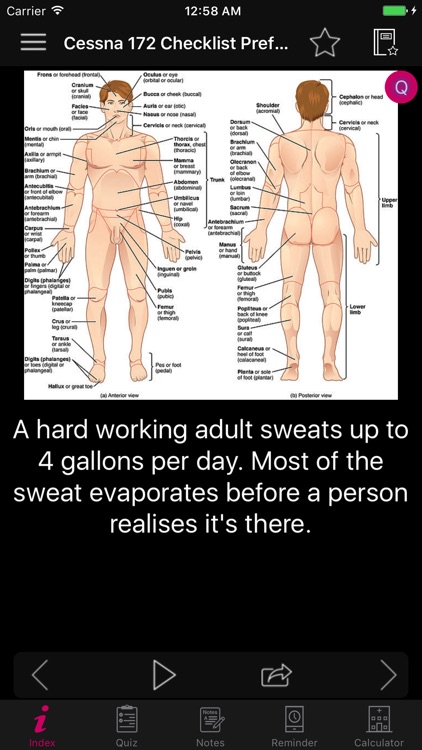 Amazing Human Body Facts, Quiz screenshot-4