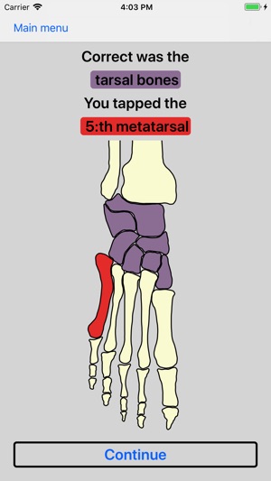 Bones of the body(圖2)-速報App