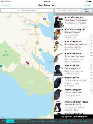 iBird Plus Guide to Birds screenshot 3