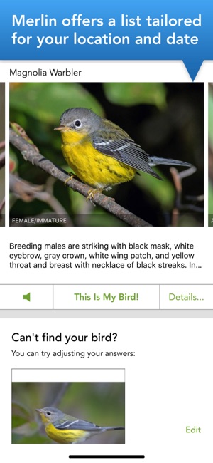 Bird watching dating app