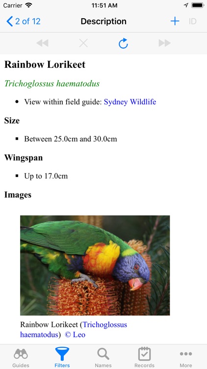 Sydney Wildlife screenshot-6