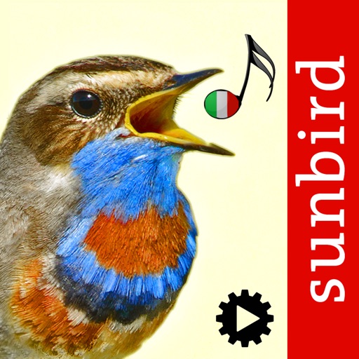 Canzoni d'uccelli, versi di richiamo degli uccelli