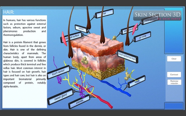 Skin Section 3D(圖2)-速報App